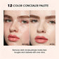 Carla Secret Concealer & Blush Professional Makeup